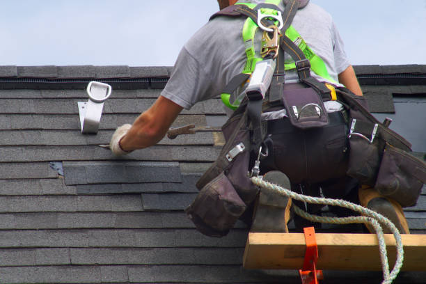 Best Shingle Roofing Installation  in Colquitt, GA