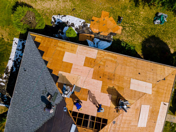 Roof Gutter Cleaning in Colquitt, GA