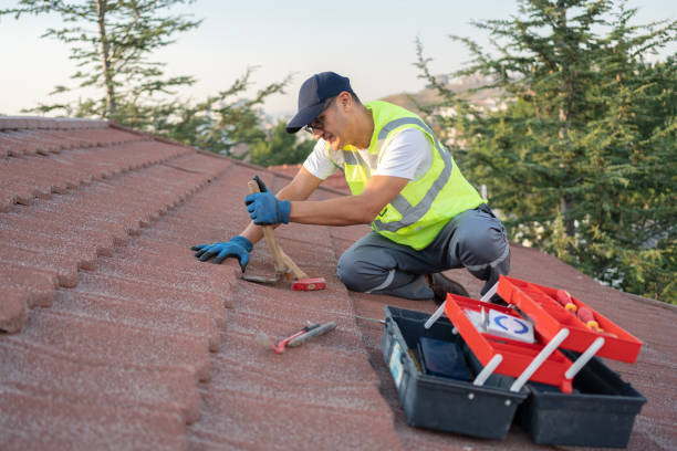 Best Roof Gutter Cleaning  in Colquitt, GA