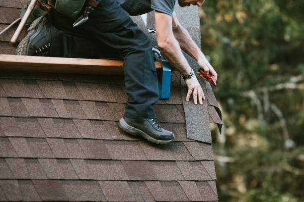 Best Local Roofing Companies  in Colquitt, GA